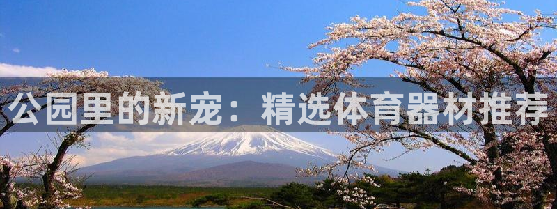 征途国际科技：公园里的新宠：精选体育器材推荐