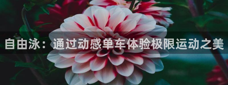 征途国际集团官网：自由泳：通过动感单车体验极限运动之