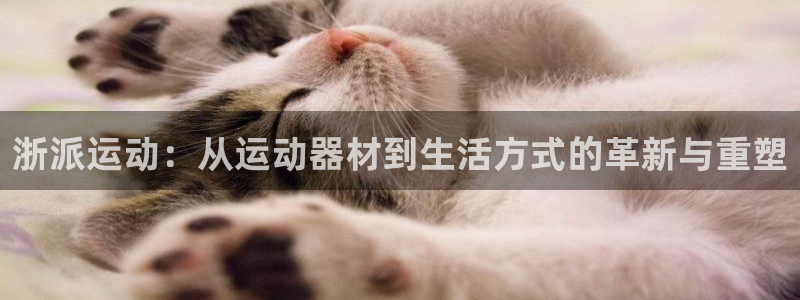海南征途国际：浙派运动：从运动器材到生活方式的革新与