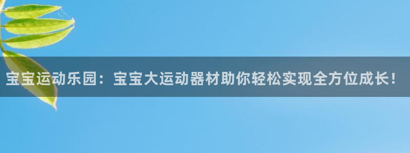 征途国际平台注册要钱吗：宝宝运动乐园：宝宝大运动器材