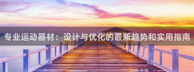 征途国际招商