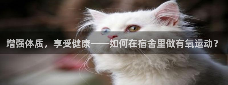 征途国际是干嘛的公司：增强体质，享受健康——如何在宿舍里做有