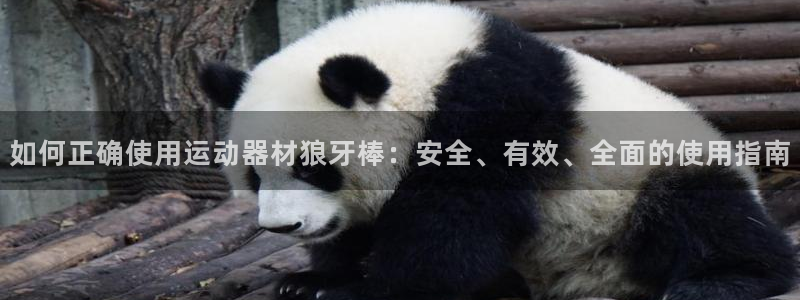 征途国际集团官网首页网址：如何正确使用运动器材狼牙棒：安全、