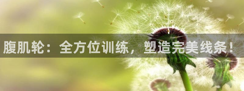 征途国际招商电话号码