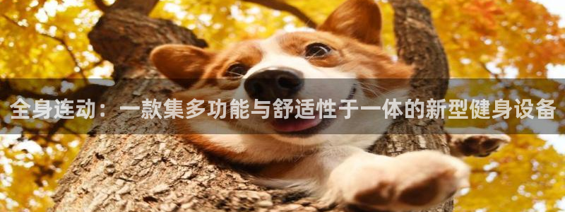 征途国际平台APP：全身连动：一款集多功能与舒适性于