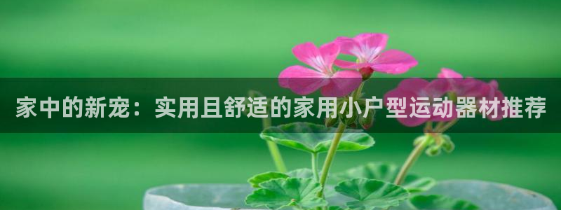征途国际集团E.ON：家中的新宠：实用且舒适的家用小