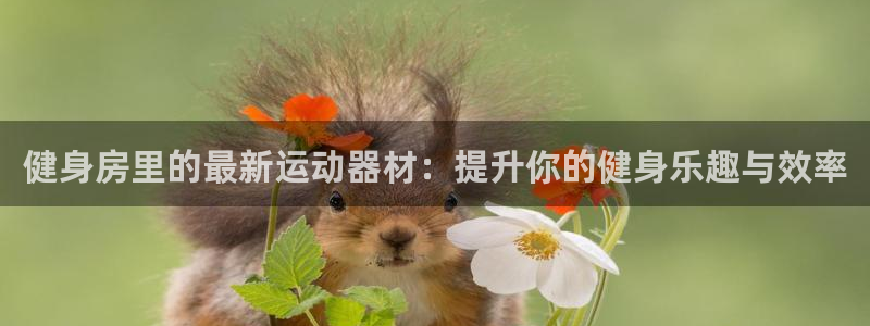 征途国际招商电话是多少号码：健身房里的最新运动器材：提升你的