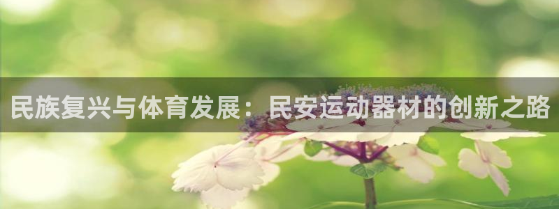 征途国际集团官网网址：民族复兴与体育发展：民安运动器