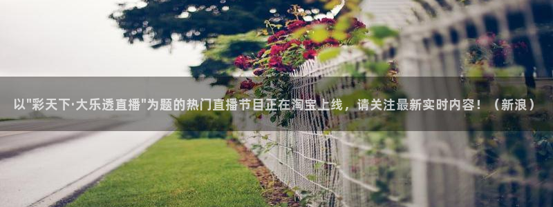 咪咕直播体育：以\