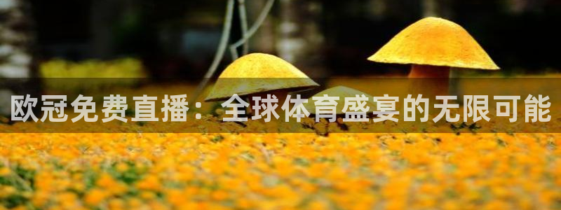咪咕视频体育直播nba：欧冠免费直播：全球体育盛宴的无限可能