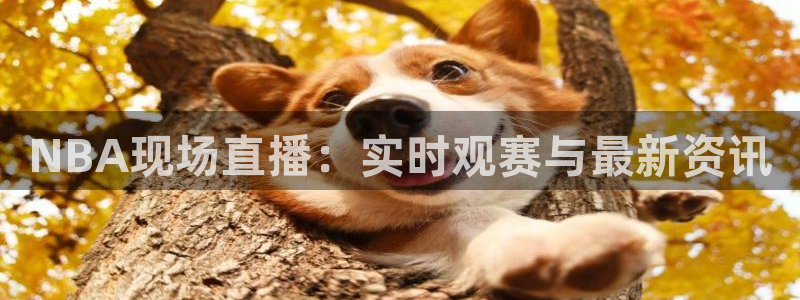 咪咕足球直播免费观看：NBA现场直播：实时观赛与最新资讯
