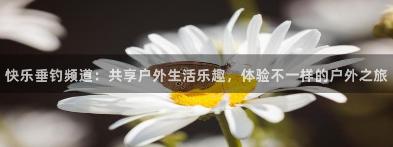 咪咕篮球赛现场直播：快乐垂钓频道：共享户外生活乐趣，体验不一样的户外之旅