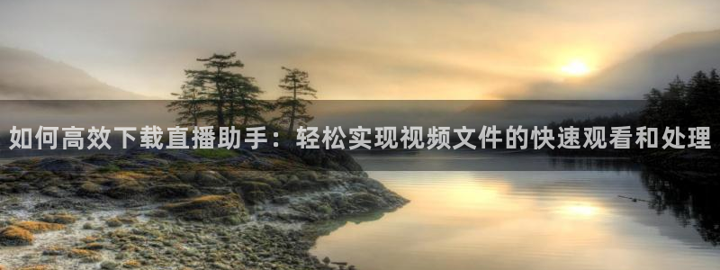 咪咕视频体育频道直播免费观看：如何高效下载直播助手：轻松实现视频文件的快速观看和处理