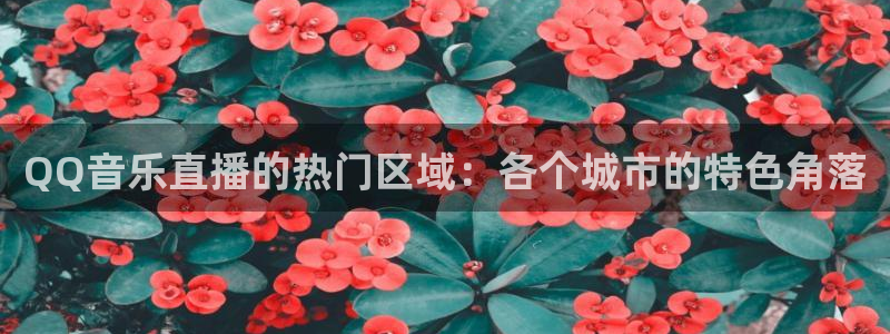 咪咕视频体育直播在线观看免费：QQ音乐直播的热门区域：各个城市的特色角落