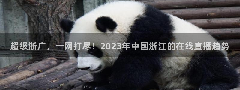 咪咕视频app下载：超级浙广，一网打尽！2023年中国浙江的在线直播趋势